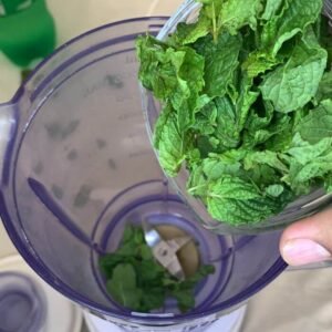 Adding Mint Leaves in a blending jug