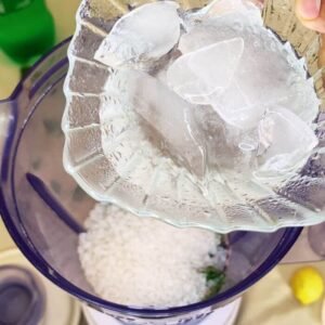 Adding ice cubes in a blending jug